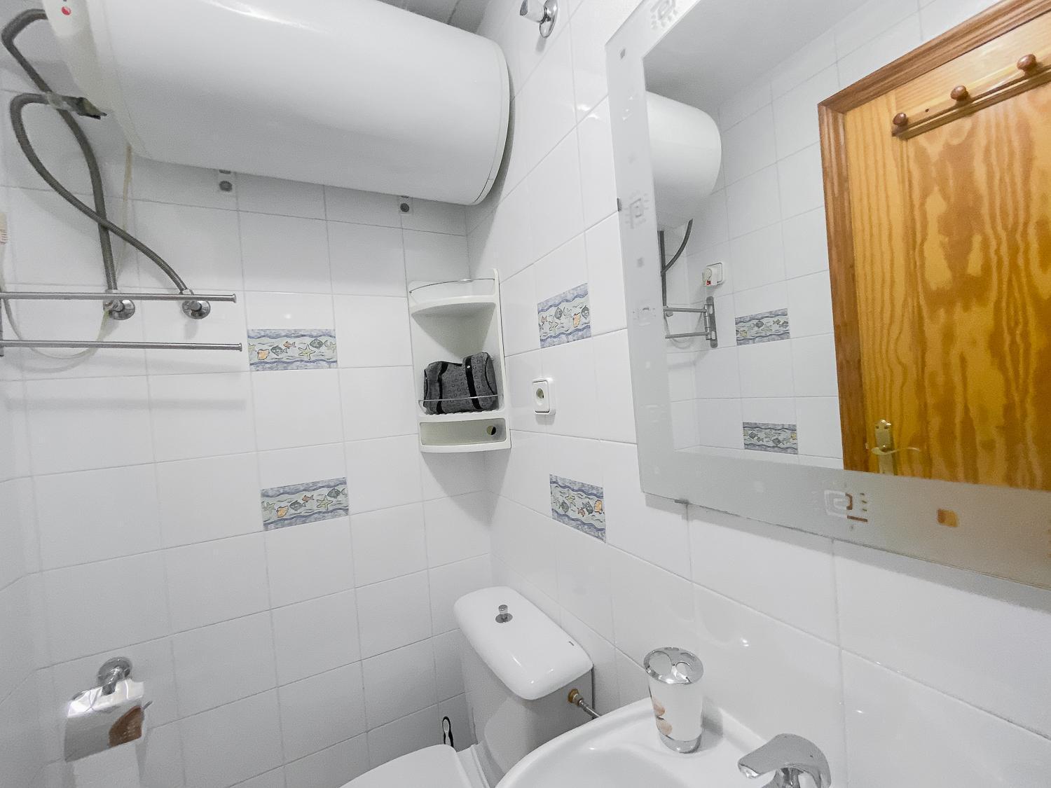 Estudio Plaza San Cristobal Apartment Alicante Bagian luar foto